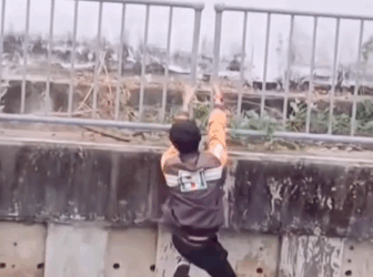 T2505006 After multiple attempts the boy successfully rescued the cat part2