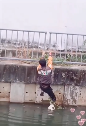 T2505006 After multiple attempts the boy successfully rescued the cat part2