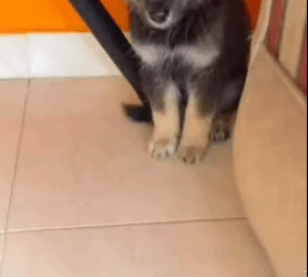 T1505016 Forgotten, but not anymore part2