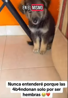 T1505016 Forgotten, but not anymore part2