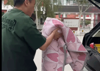 T2105002 Rescue dog part2