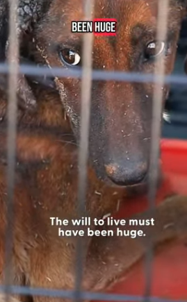 T1505038 They feel everything part2