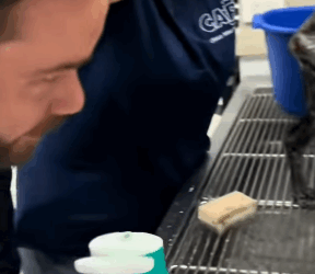 T0406018 Rescue of an abandoned dog in difficulty❤️ #heroes #rescue part2