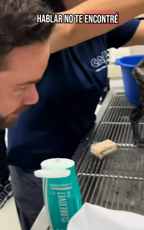 T0406018 Rescue of an abandoned dog in difficulty❤️ #heroes #rescue part2