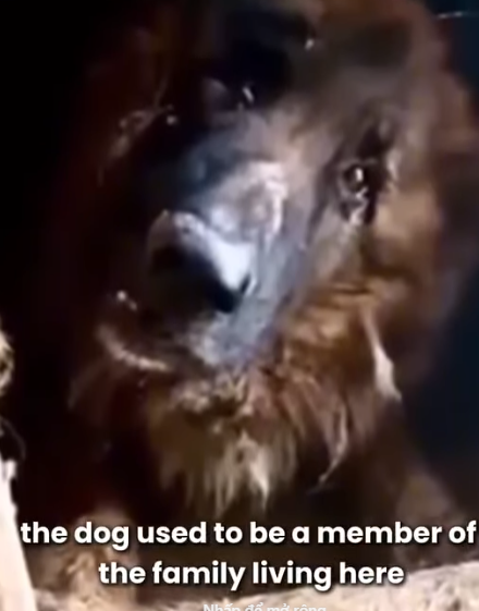 D1705004 Abandoned and Alone part 2