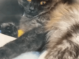 T1505020 She waited… and we came part2