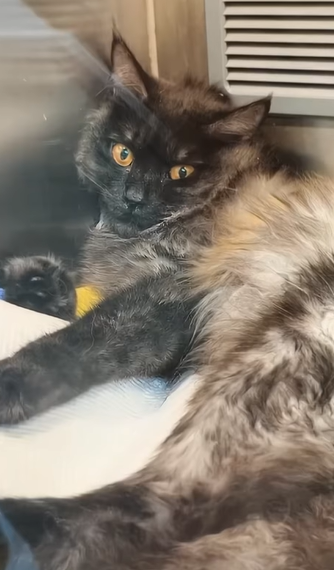 T1505020 She waited… and we came part2