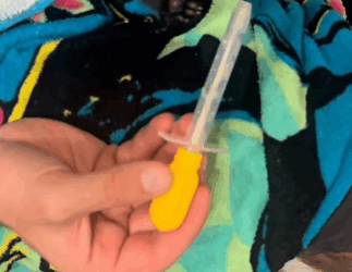 T2105018 Rescue cat part2