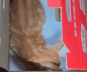 T2305007 Love lives here now part2