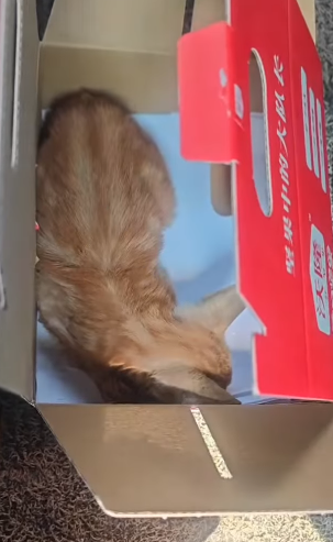 T2305007 Love lives here now part2