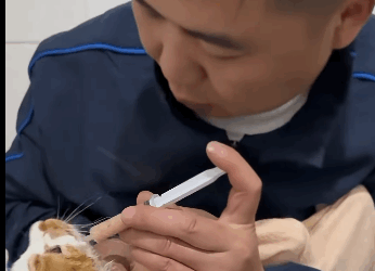 T2305005 Rescued, not forgotten part2