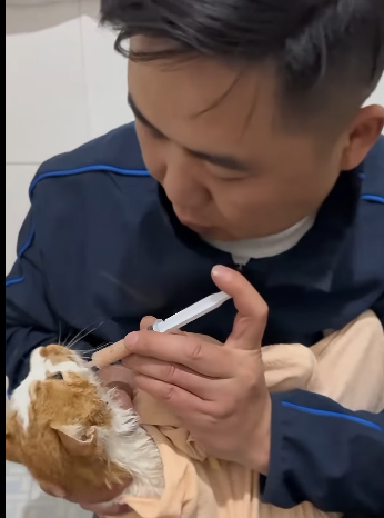 T2305005 Rescued, not forgotten part2