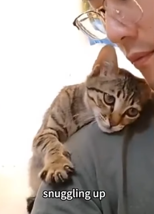 T1905024 This mother cat unfortunately passed away leaving behind weak kittens part2