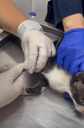 T1505039 She’s not alone anymore part2