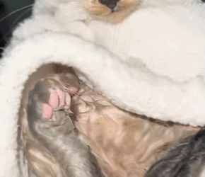 T1505025 They don’t need much part2