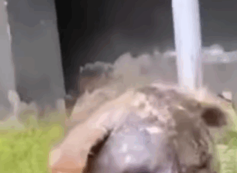 T1505004 Still scared, but safe part2