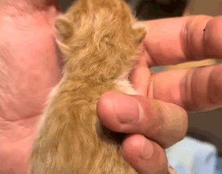 T1505021 Safe, warm, and loved part2