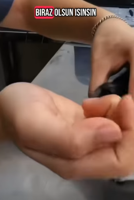 T1805015 Rescue of a small dog abandoned in the middle of the country part2