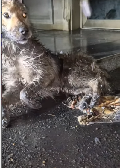 T1505008 Waiting for a miracle part2