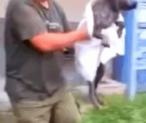 T1505004 Still scared, but safe part2