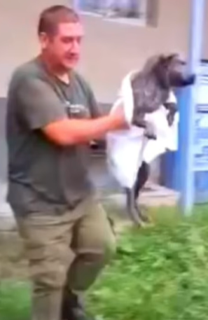 T1505004 Still scared, but safe part2