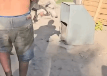 T0406057 Poor Dog Was Found In Critical Situation part2