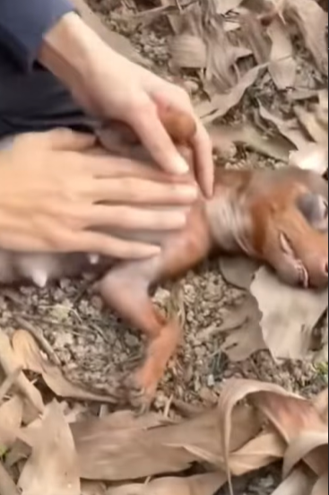 T1505036 Still scared, but safe part2