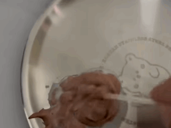 T2105039 Rescue kittens part2