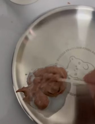 T2105039 Rescue kittens part2