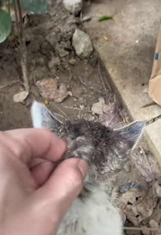 T1505027 Second chance = new life