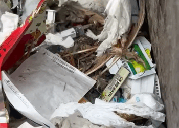 T1505028 Why do people abandon them They are so cute part2