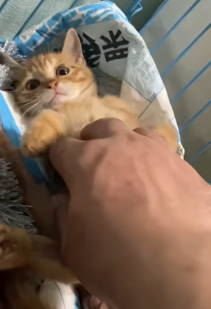 T1505018 She’s not alone anymore._part2