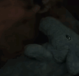 T1705008 Rescue of a small abandoned dog in difficulty❤️ part2