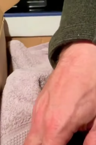 T2505011 Found a baby weasel in a puddle the girl took it home to raise rescue animal part2