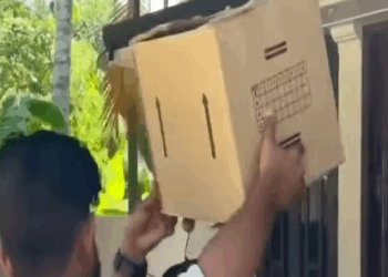 T0506008 An abandoned puppy in the garbage collection part2