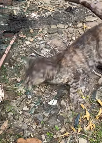 T1505022 She was lost part2