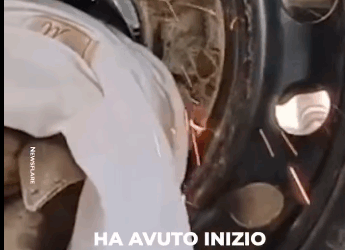 D1705040 Still scared, but safe part2