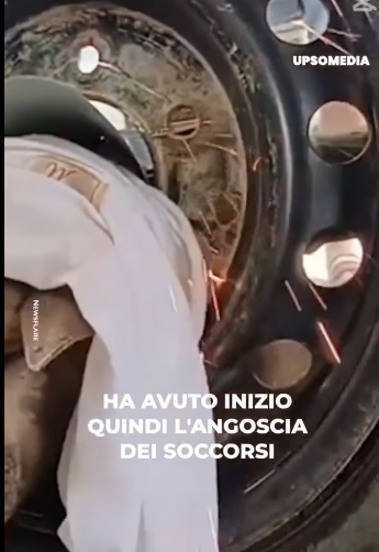 D1705040 Still scared, but safe part2