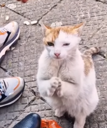 T1605001 Waiting for a miracle. part2