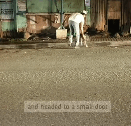 T0406032 Rescue of an abandoned dog in the middle of the street part2