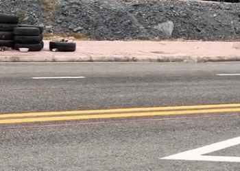 D1705033 Emergency rescue of an abandoned puppy exhausted from hunger and cold asking for help adopted it part 2