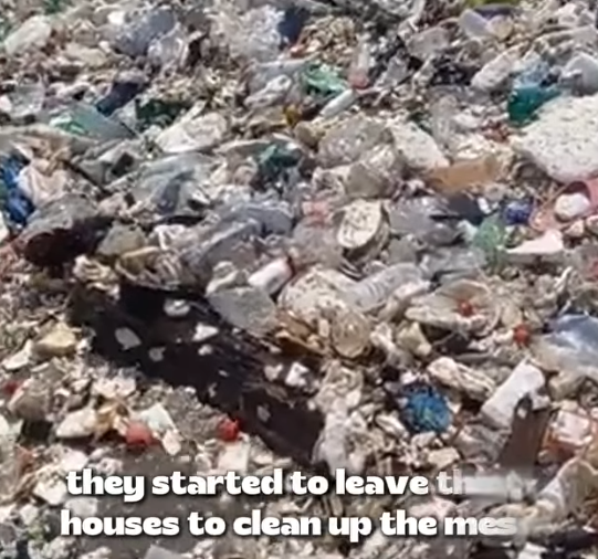 D1705021 Dog Alone Against the Storm Until Help Arrived part2