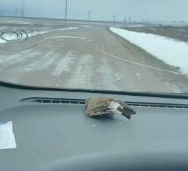 T2305015 Waiting for a miracle part2