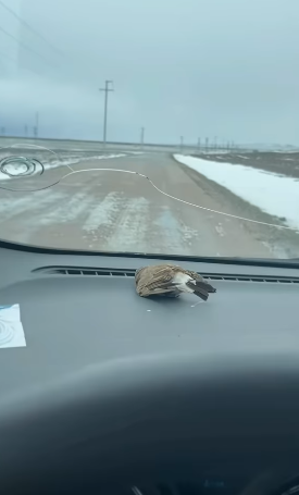 T2305015 Waiting for a miracle part2