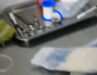 T0406060 Rescue a puppy rescue rescuedog rescueanimals dog dogsoftiktok animals animalsoftiktok rescuepuppy puppy fyp part2