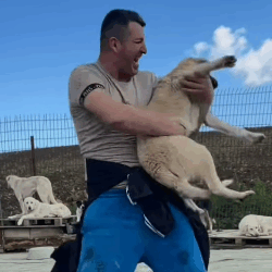 T1604039 Rescue an abandoned dog who couldn’t walk helped him part2