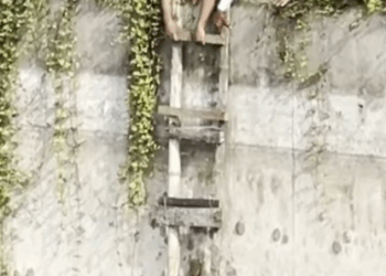 T0406034 Rescue of an abandoned dog fallen into the river part2