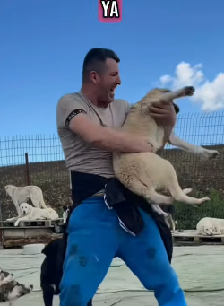 T1604039 Rescue an abandoned dog who couldn’t walk helped him part2