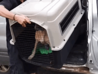 T2205003 New life begins today part2