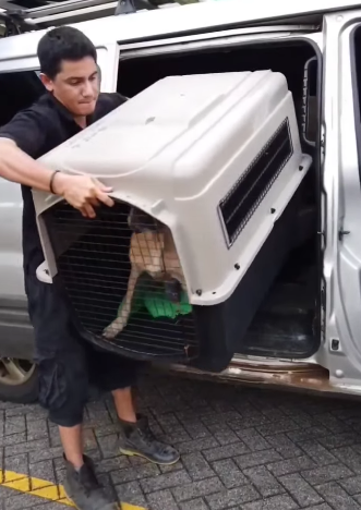 T2205003 New life begins today part2